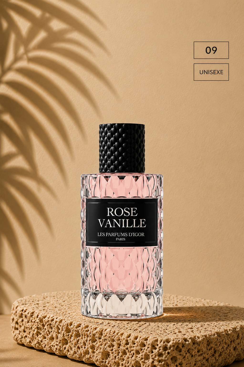 Rose vanille
